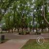 Plaza Lafinur at Potosi y Balcarce y Belgrano (2)