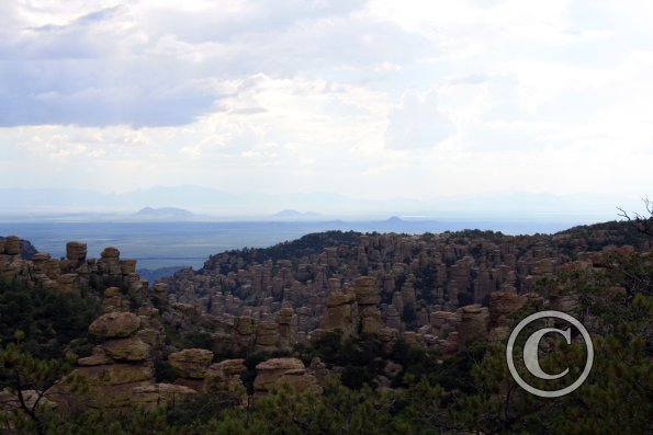 Looking east into New Mexico