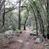 Sarah Demming Trail