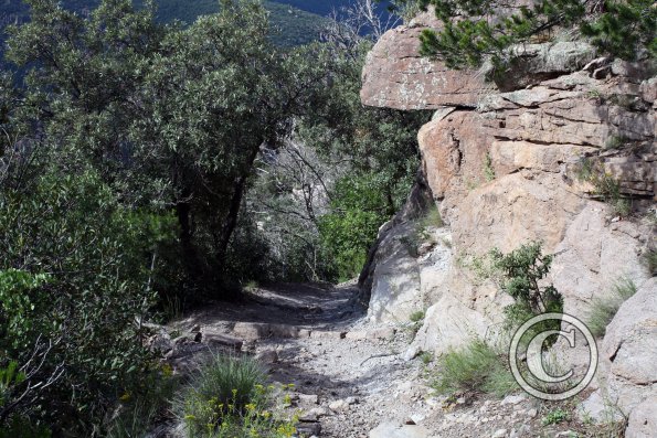 Sugarloaf Mtn trail 1