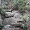 heart of the rocks trail