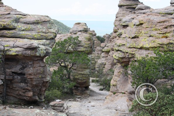 trail thru the rocks