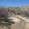 LomaAltaTrail 005