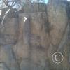 18169014665