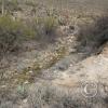lomaaltatrail-003_17699230002_o