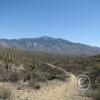lomaaltatrail-004_17898039195_o