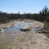 lomaaltatrail-008_17514017348_o