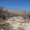 lomaaltatrail-010_17701858805_o