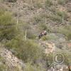 lomaaltatrail020_17699671102_o