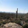 lomaaltatrail024-small_17944158180_o