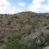 trail2_001