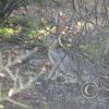 picture-403_17658281962_o