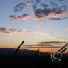 IMAG0262