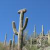 SweetWaterTrail 001