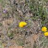 SweetWaterTrail 004