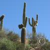 SweetWaterTrail 005