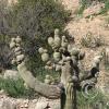 SweetWaterTrail 007