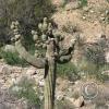 SweetWaterTrail 010