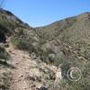 SweetWaterTrail 012