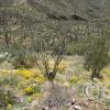 SweetWaterTrail 020