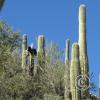 SweetWaterTrail 033
