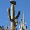 SweetWaterTrail 034