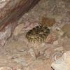 img_0828_17466640799_o