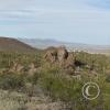 sweetwater_trail5_21309190168_o