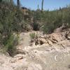 17275622494