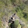 sweetwater_trail-bird
