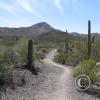 sweetwater_trail1_17272975284_o