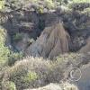 Badlands Erosion and earth pillars