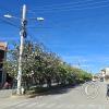 Calle Sucre