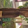 Museo del Charango (11)