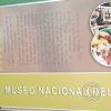 Museo del Charango (4)