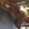 Museo del Charango (8)