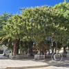 Plaza 20 de Diciembre (6)