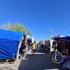 Sunday market (2)
