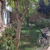 Plaza Humberto Leyton (2)