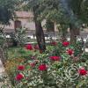 Plaza Humberto Leyton