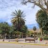 Plaza Principal (7)