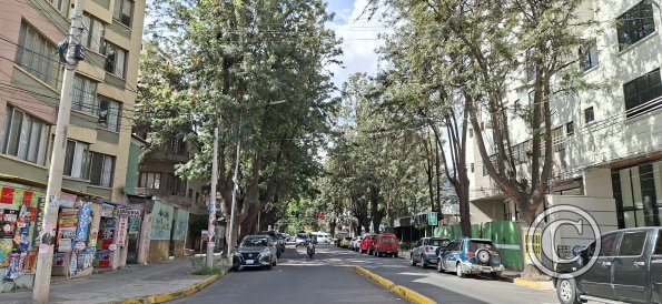Av Daniel Salamanca and Calle Baldiviezo