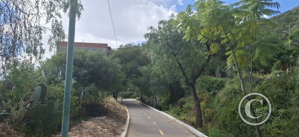 Bike path (2)