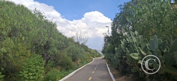 Bike path