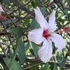 Jardín Botánico Martín Cárdenas (11)