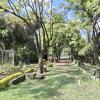Jardín Botánico Martín Cárdenas (15)