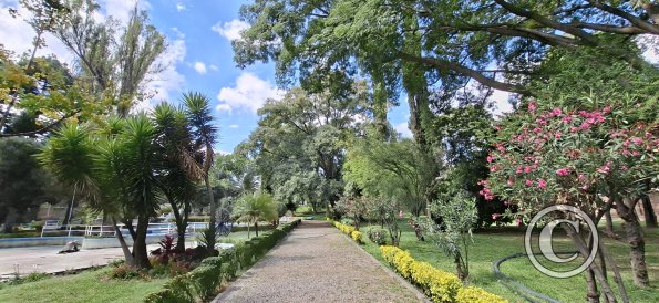 Jardín Botánico Martín Cárdenas (17)