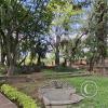 Jardín Botánico Martín Cárdenas (19)