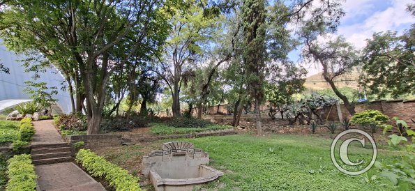 Jardín Botánico Martín Cárdenas (19)
