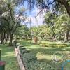Jardín Botánico Martín Cárdenas (2)